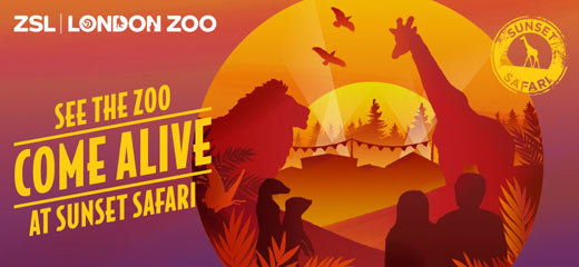 Sunset Safari at ZSL London Zoo