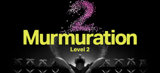 Murmuration Level 2, Sadeck Berrabah